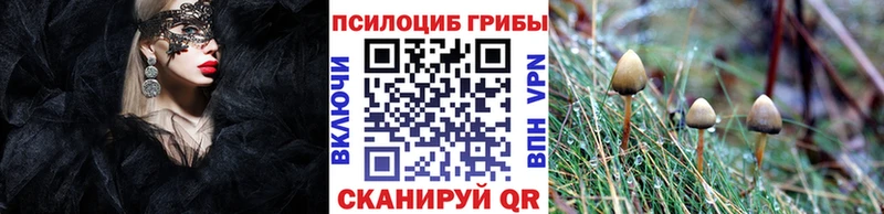 Купить  Заозёрск  Галлюциногенные грибы MAGIC MUSHROOMS 
